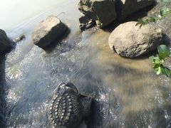 景点-天下玉苑