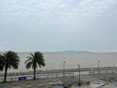 -野狸岛