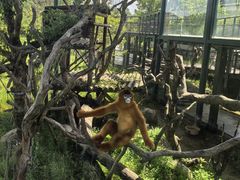 -宁波野生动物园