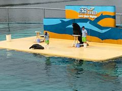 -秦皇岛乐岛海洋王国