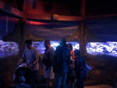 -悉尼海洋生物水族馆