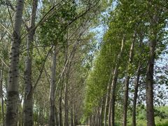 -东郊湿地公园