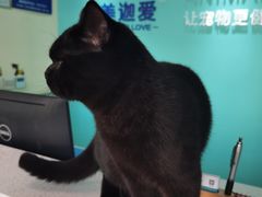 -美迦爱-牙专科·兔科·骨科诊疗中心(北苑店)