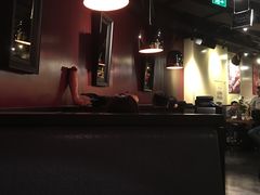 -bluefrog蓝蛙(水游城店)