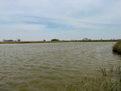 -盐城丹顶鹤湿地生态旅游区