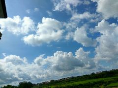 -长洲岛