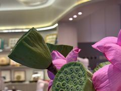 -燕庭·纯燕窝·甜品下午茶(南京西路店)