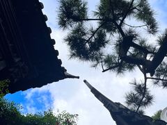 -豫园