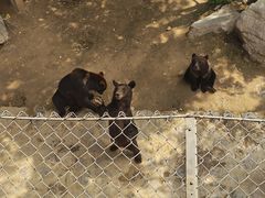 -石家庄市动物园