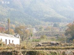 -塔川景区