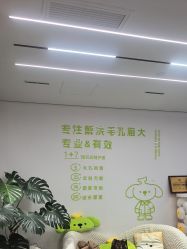 -凡碧诗毛孔清洁收细