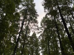 -上海怡沁园度假酒店