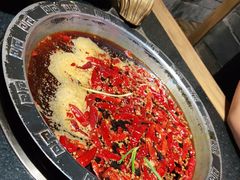 -渝大狮毛肚老火锅(普陀店)