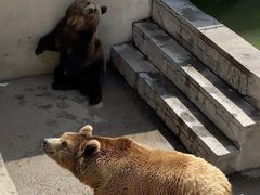 -保定市动物园