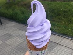 -富田农场