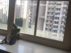 -美豪怡致酒店(上海长寿路店)