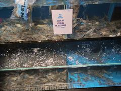 大头虾-盒马鲜生(金桥国际广场店)