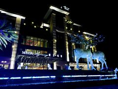 -鹭江潮餐厅•福建菜(鹭江佲家酒店)