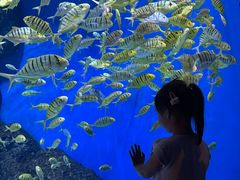 -成都浩海立方海洋公园