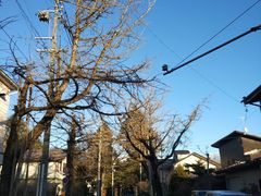 -轻井泽王子购物广场