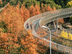 -梅峰山地公园