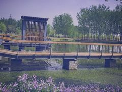-东郊湿地公园