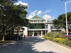 -打洛口岸