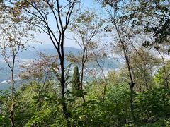 -惠山国家森林公园