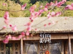 -苏州上方山国家森林公园