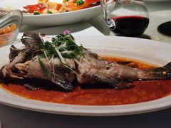 清蒸东星斑-东海海鲜酒家(中信广场店)