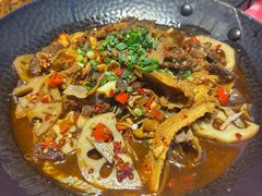-龙师傅卤炒(天马店)