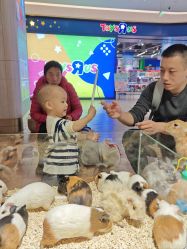 -MELAND CLUB亲子乐园·派对·餐厅(北京芳圆里ID MALL店)