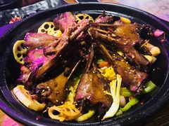 -靓蛙馆