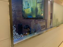 -何顺华吉他沙龙