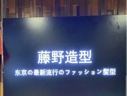 点击看大图 -藤野造型