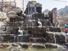 -大岭沟猕猴桃谷风景区