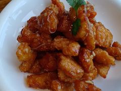 -海记品鸽·新疆菜(高铁站店)