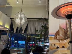 -伊斯坦布尔土耳其清真咖啡餐厅