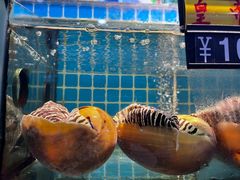 -川湘蓝天海鲜