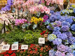 -盒马鲜生(富田新天地店)