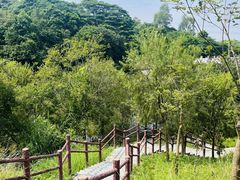 -水濂山森林公园