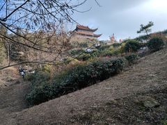 -冶父山国家森林公园