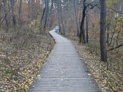 -帽儿山国家森林公园