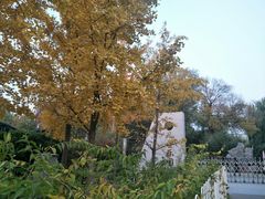 -黄村公园