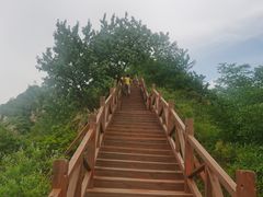 -大岭沟猕猴桃谷风景区