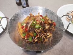 -丁老爷子苏香圆