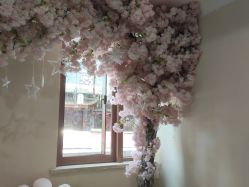 -万州华美紫馨整形美容医院