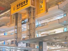 -罗浮宫国际家居总部大厦