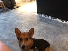 -李子坝梁山鸡(北碚万达五鸡哥店)