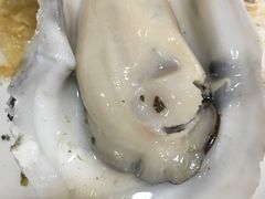 -蚝专家(北滘店)